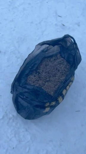 В Бузулуке задержали мужчину с почти 400 граммами марихуаны