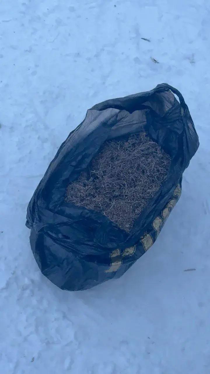 В Бузулуке задержали мужчину с почти 400 граммами марихуаны