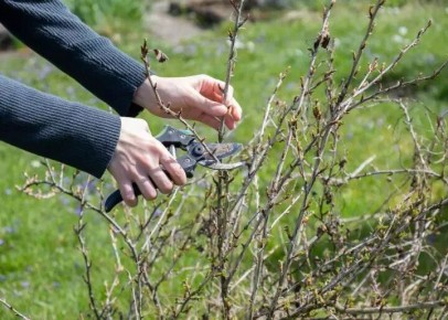 ������� �������� ������� ���������: ����� � ��� ��������� ��������� �� �������