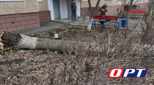 ������������, �� ������� ����� ������, ������ �� �� ��� �� 12 ���������