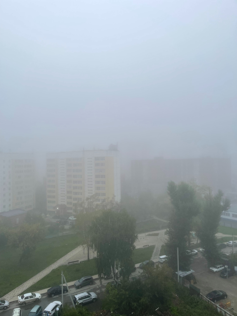 Как кето-диета меняет жизнь: отчёт о прогрессе за август