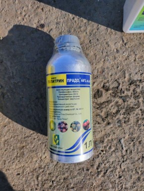 � ���������� �������� ������� ����������� ����� ����� 5 ���� ���������� �� ����������