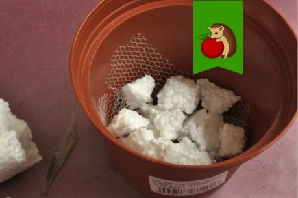 ��������� ��� ������: ������������ � ���������� ��� ����� ��������