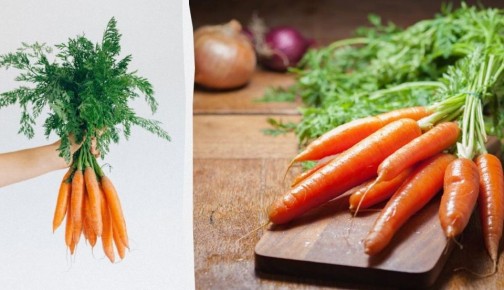 ���������� ������ �������� �������� ������� �� 10 ����