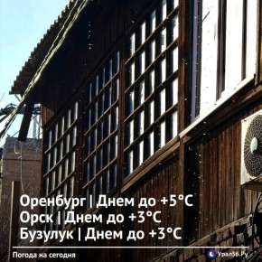 ������ ����