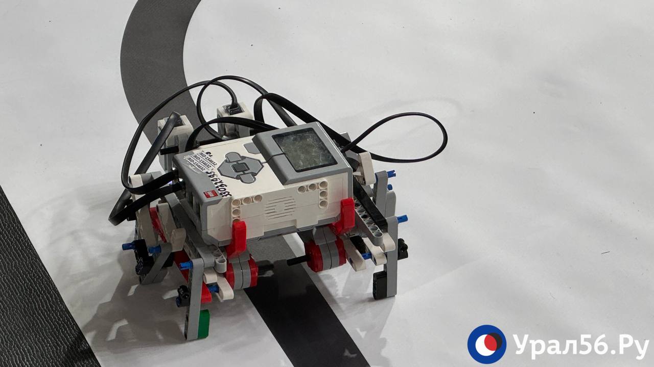 В Оренбурге подвели итоги фестиваля инновационных видов спорта «ИТ СТЕПЬ 2026» В Оренбурге подвели итоги фестиваля инновационных видов спорта «ИТ СТЕПЬ 2026»