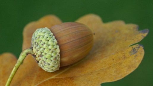 ��� ��������� ��� �� �����: ������� ��������� �������