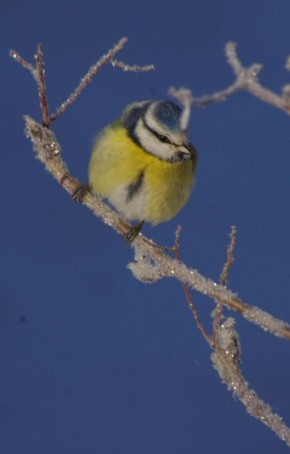 Доброе утро! Прогноз погоды на 21 марта
