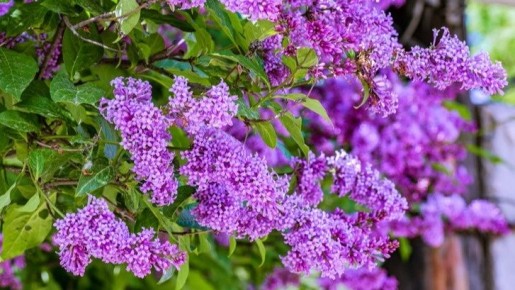 ������� ������ � �������: ������������� ������ � ����� �� ������������