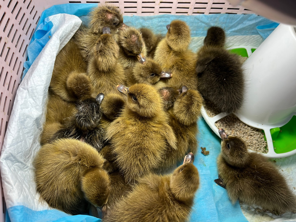 Социальный контракт: ваш шанс на собственное дело