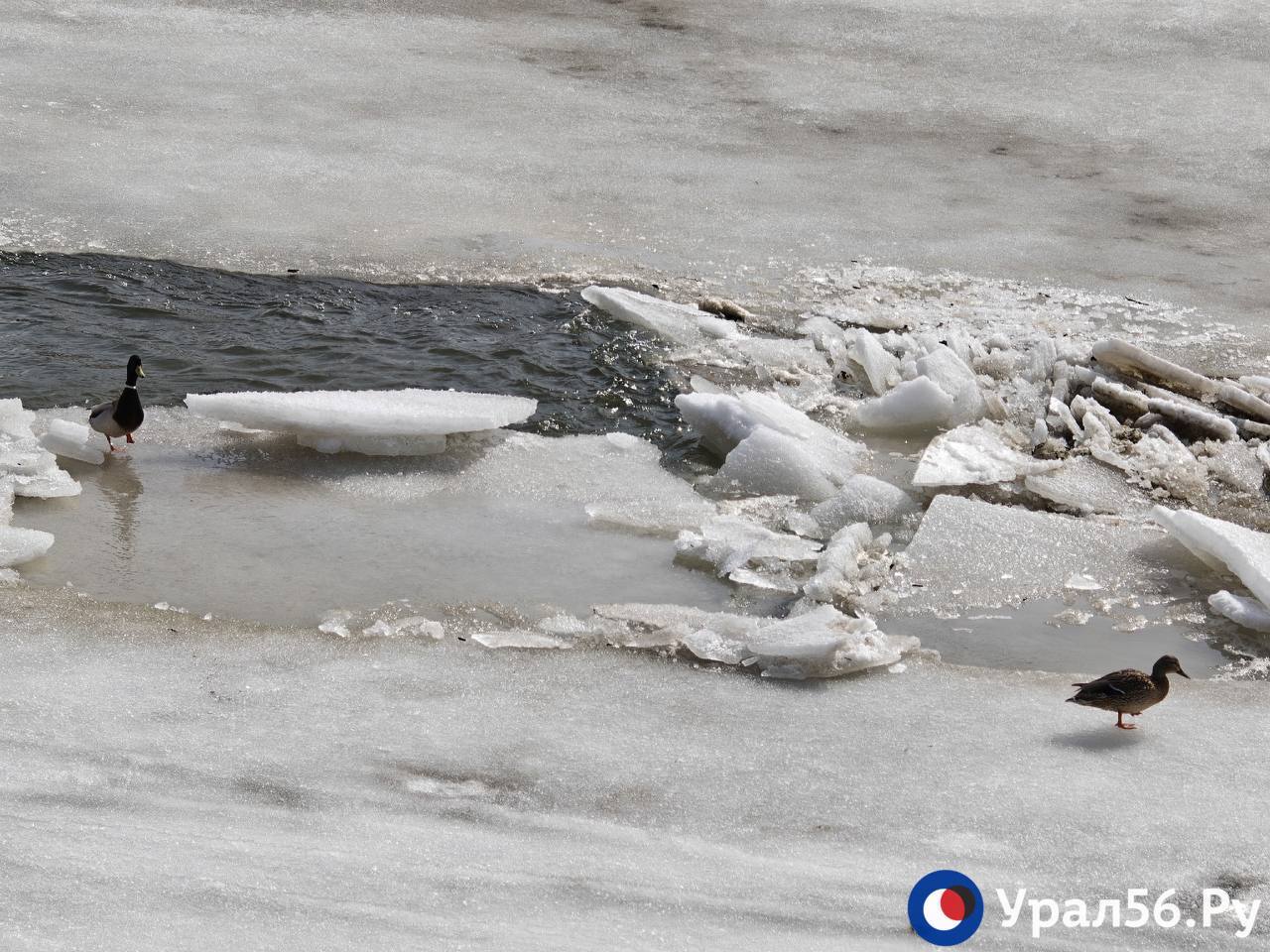 Река Урал в Оренбурге Река Урал в Оренбурге