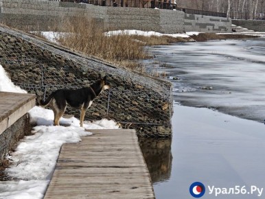 ���� ���� � ���������