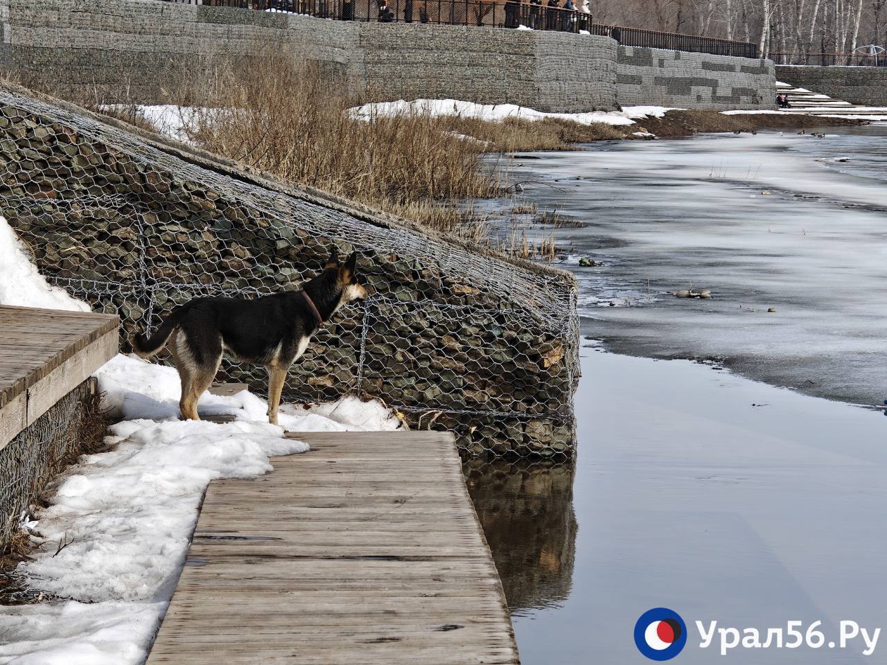 Река Урал в Оренбурге