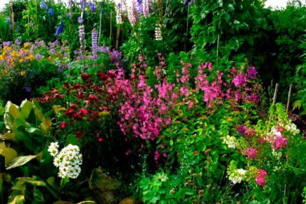 ��� ������� ������� �� ������� ��������: ������ �������� � ������ �� �����