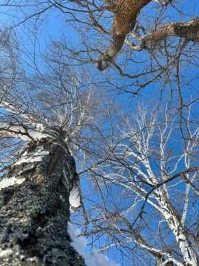 ������ ����!� ������� ������ �� 23 �����