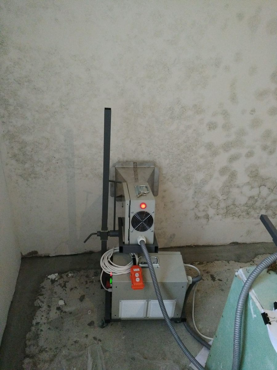 Эффективные технологии борьбы с плесенью: что выбрать?