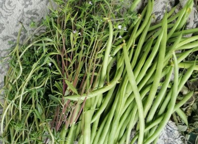 ������ �����: ������� ��������� ����������� � �������� ������