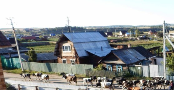 ����������� � ����� � �������: ����� �� ������� � ��������?