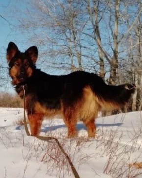 ������, ��������� �������������� ���������� � ��������� ��� �����