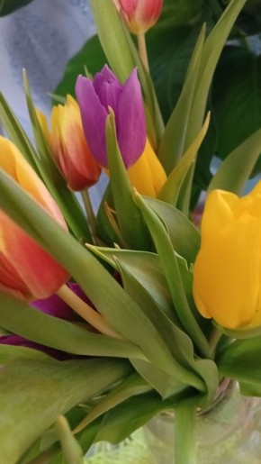 ��� ��������� �� ������ ������ � ��������� ���� �����