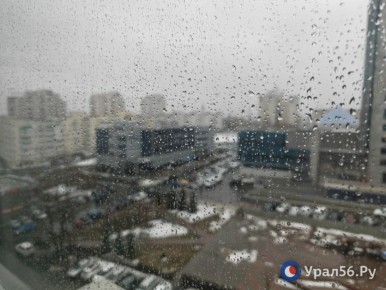 ������ ����� ���� ����� � ���������