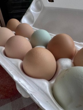 ��� ������������ �������� � �������������� ��������� ��� �� ���� ����� ������