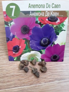 ��� ��������� ������ ������� ����������: ��� �� ����� � ������