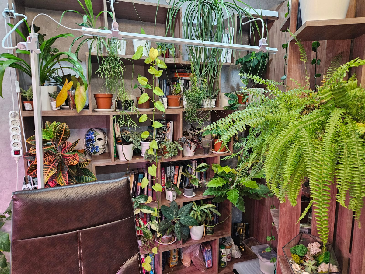 Растения, которых стоит бояться: мифы и реальность