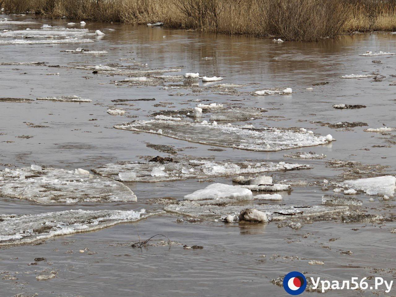 Красивый Урал в Оренбурге сегодня Красивый Урал в Оренбурге сегодня