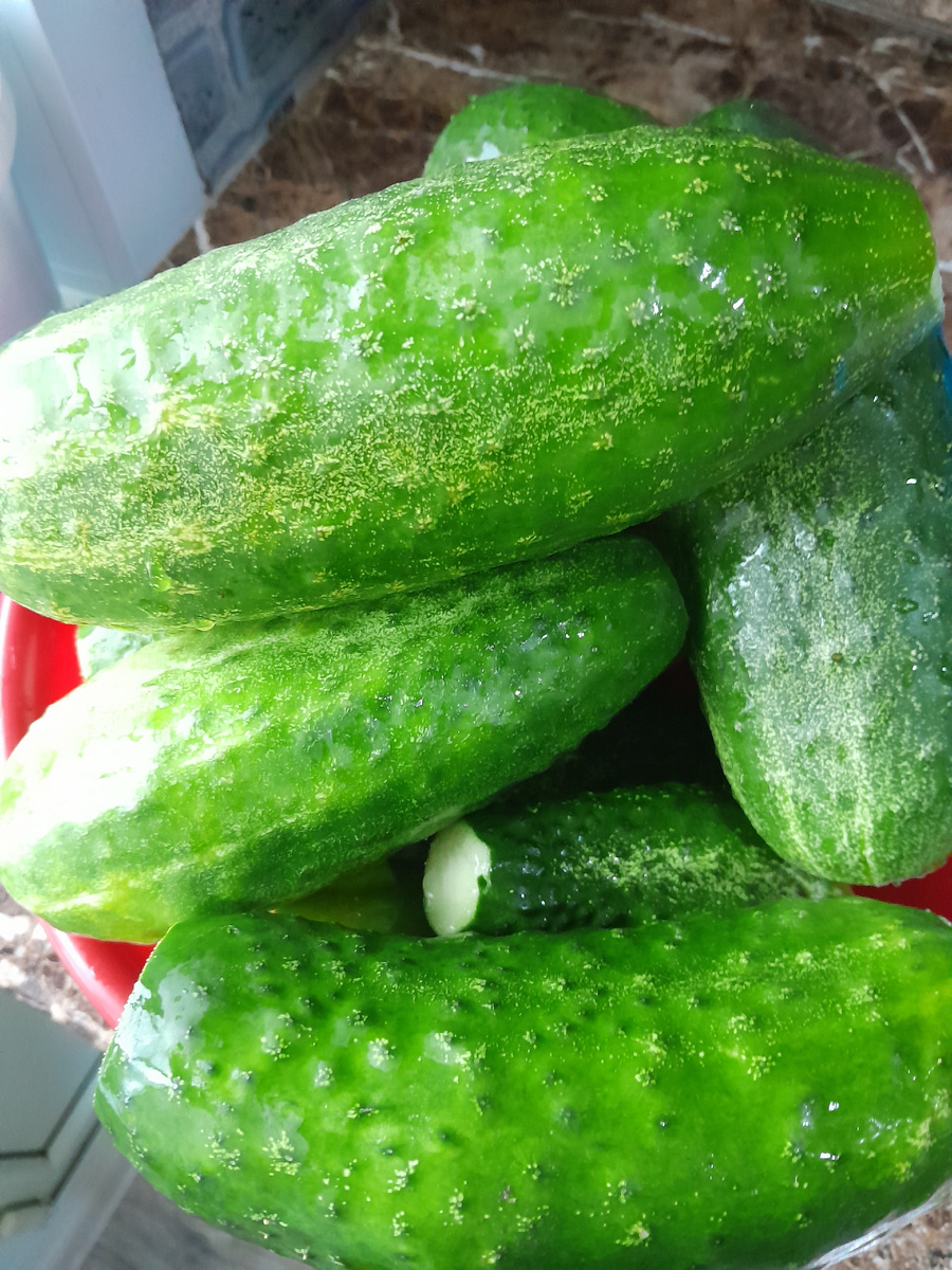 Как быстро заготовить огурцы на зиму: хрустящий рецепт под капроновой крышкой