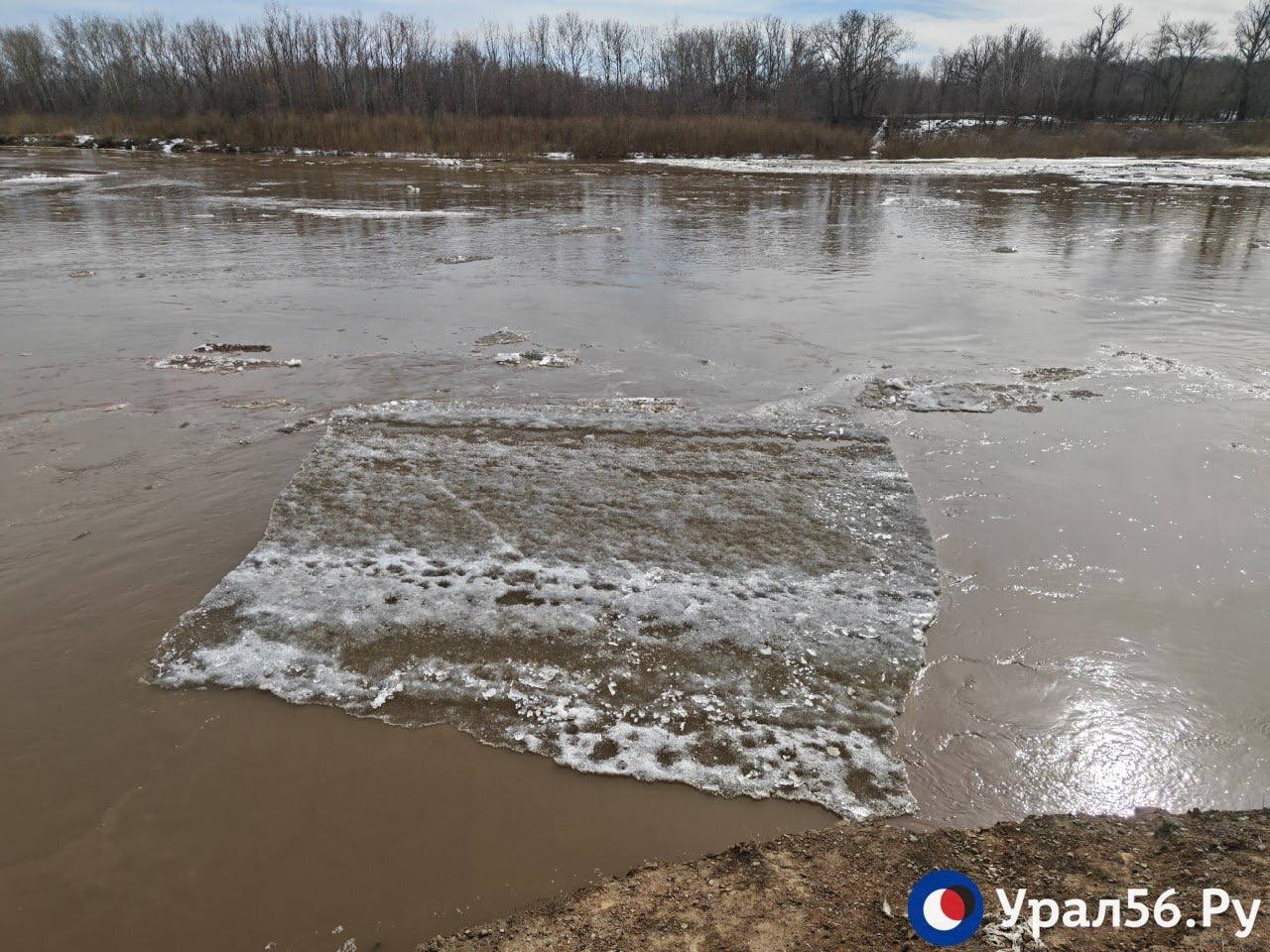 Красивый Урал в Оренбурге сегодня Красивый Урал в Оренбурге сегодня