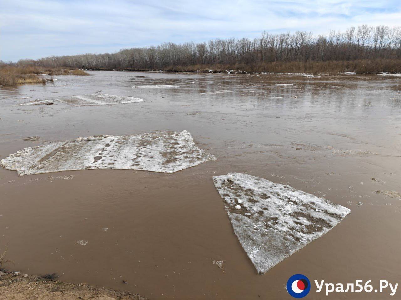 Красивый Урал в Оренбурге сегодня Красивый Урал в Оренбурге сегодня