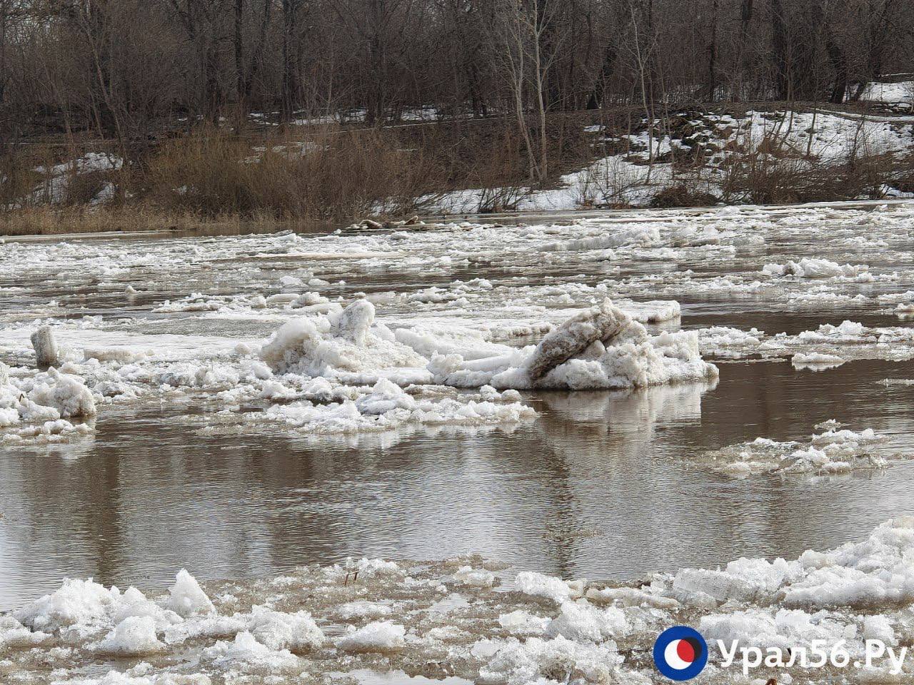 Красивый Урал в Оренбурге сегодня Красивый Урал в Оренбурге сегодня