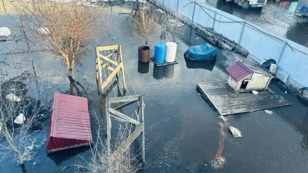 В Бузулуке подтоплены 30 участков талыми водами В Бузулуке подтоплены 30 участков талыми водами