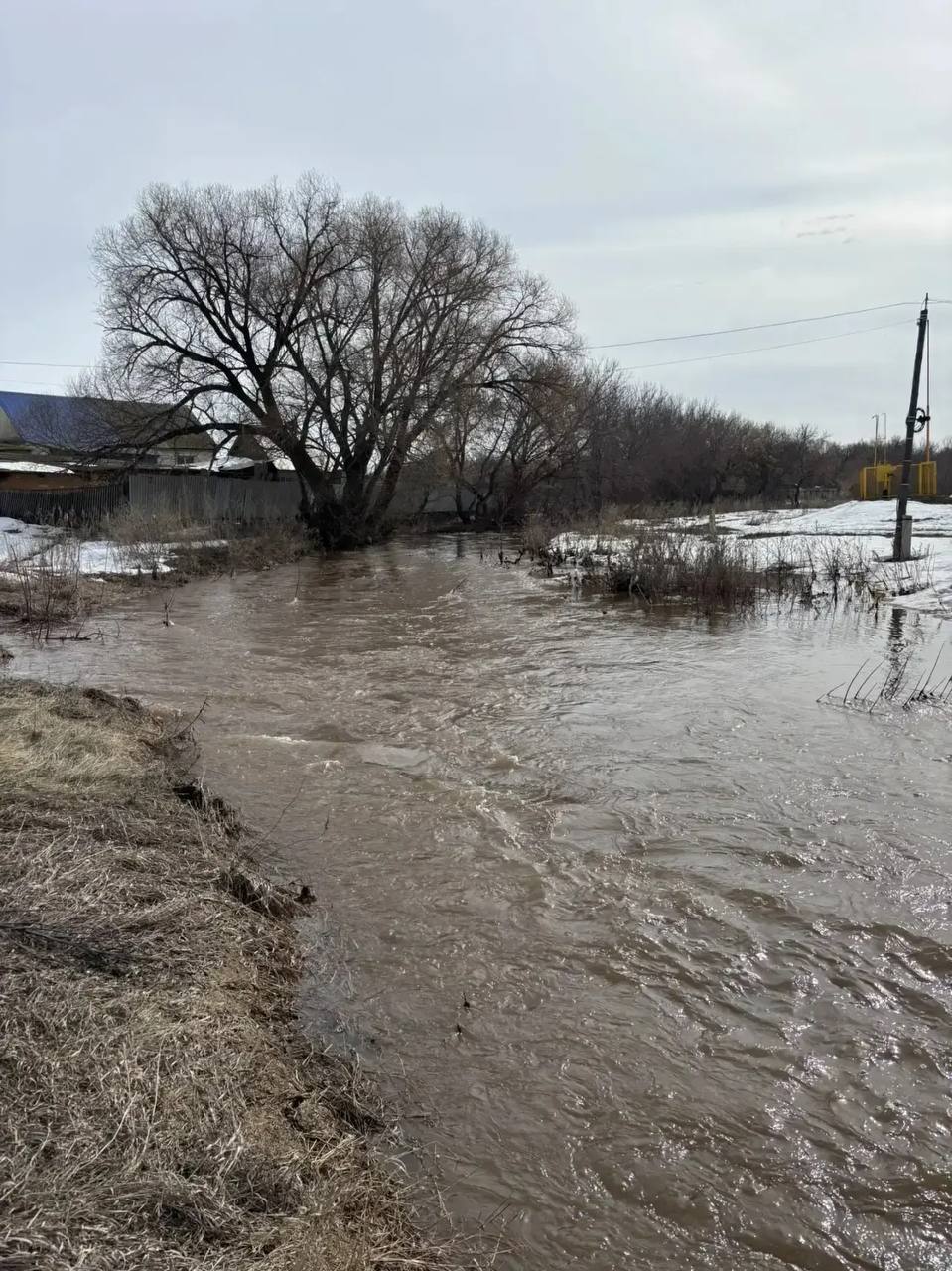 В селе Октябрьское ведут поиски мальчика, предположительно утонувшего в ручье Елшанка В селе Октябрьское ведут поиски мальчика, предположительно утонувшего в ручье Елшанка