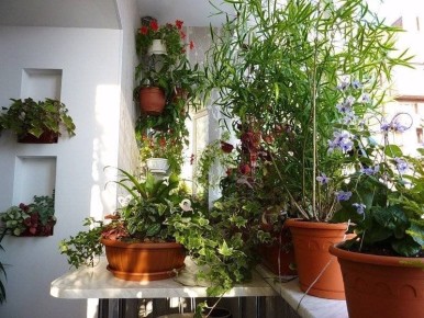 ������ ������� �� ����� �� ���������� ����������