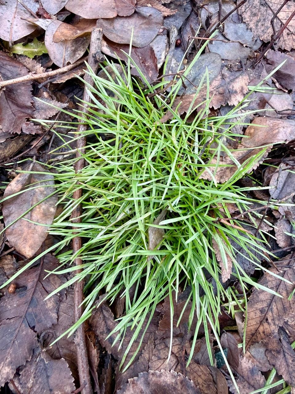 Доброе утро! Прогноз погоды на 28 марта