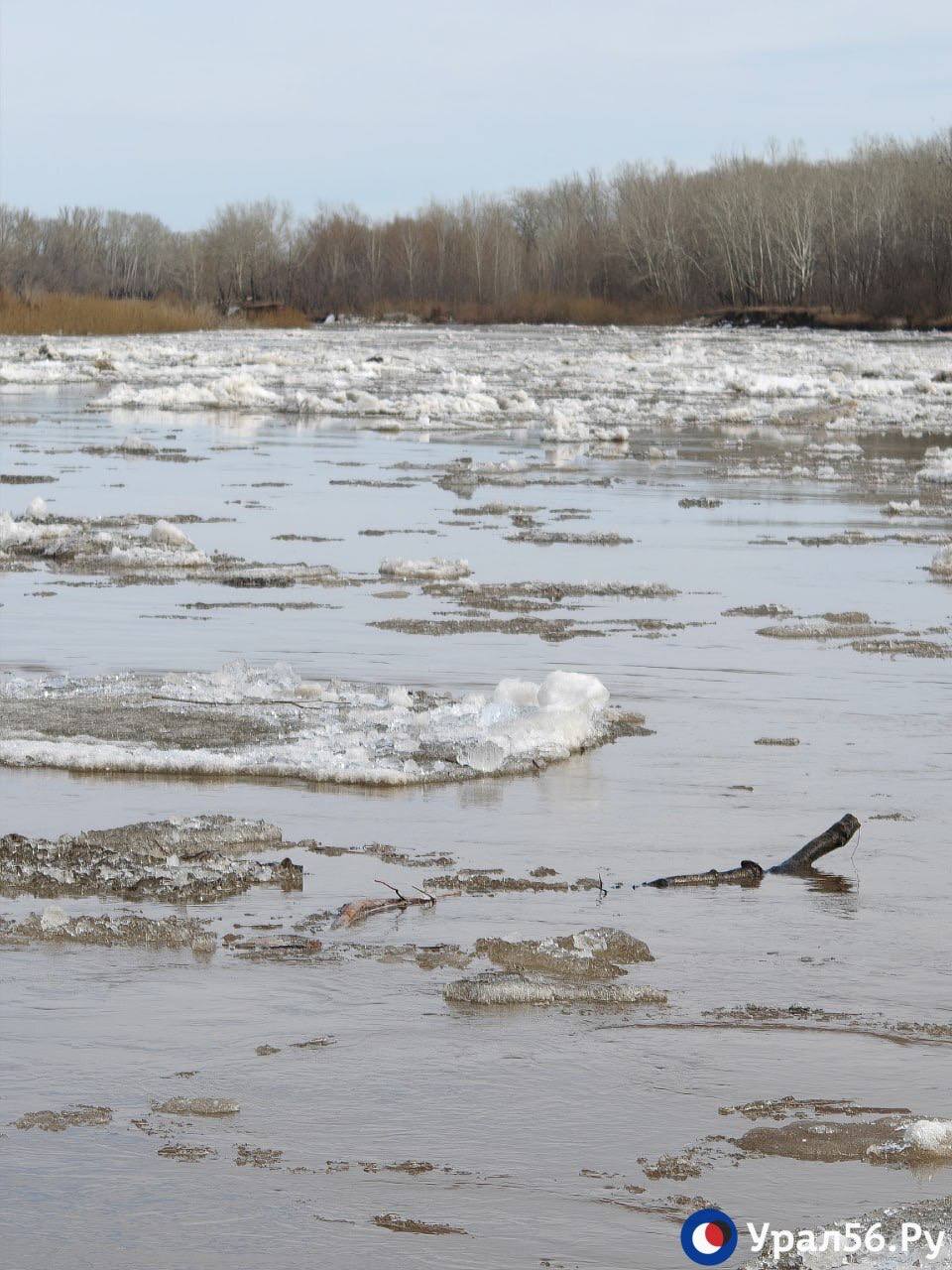 Красивый Урал в Оренбурге сегодня Красивый Урал в Оренбурге сегодня