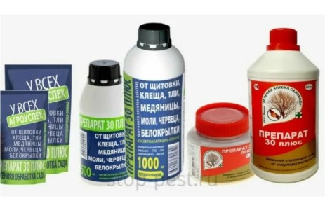 ��� �������� ���� � ������� �������� �� �������� � ���������� ������