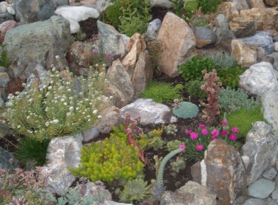 ���������� �����: ��� ������� �������� ���������� �� ����� �������