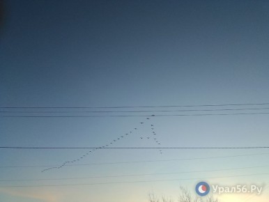 � ������������ ������� ����� ������� ������������ ���� ���������� ����