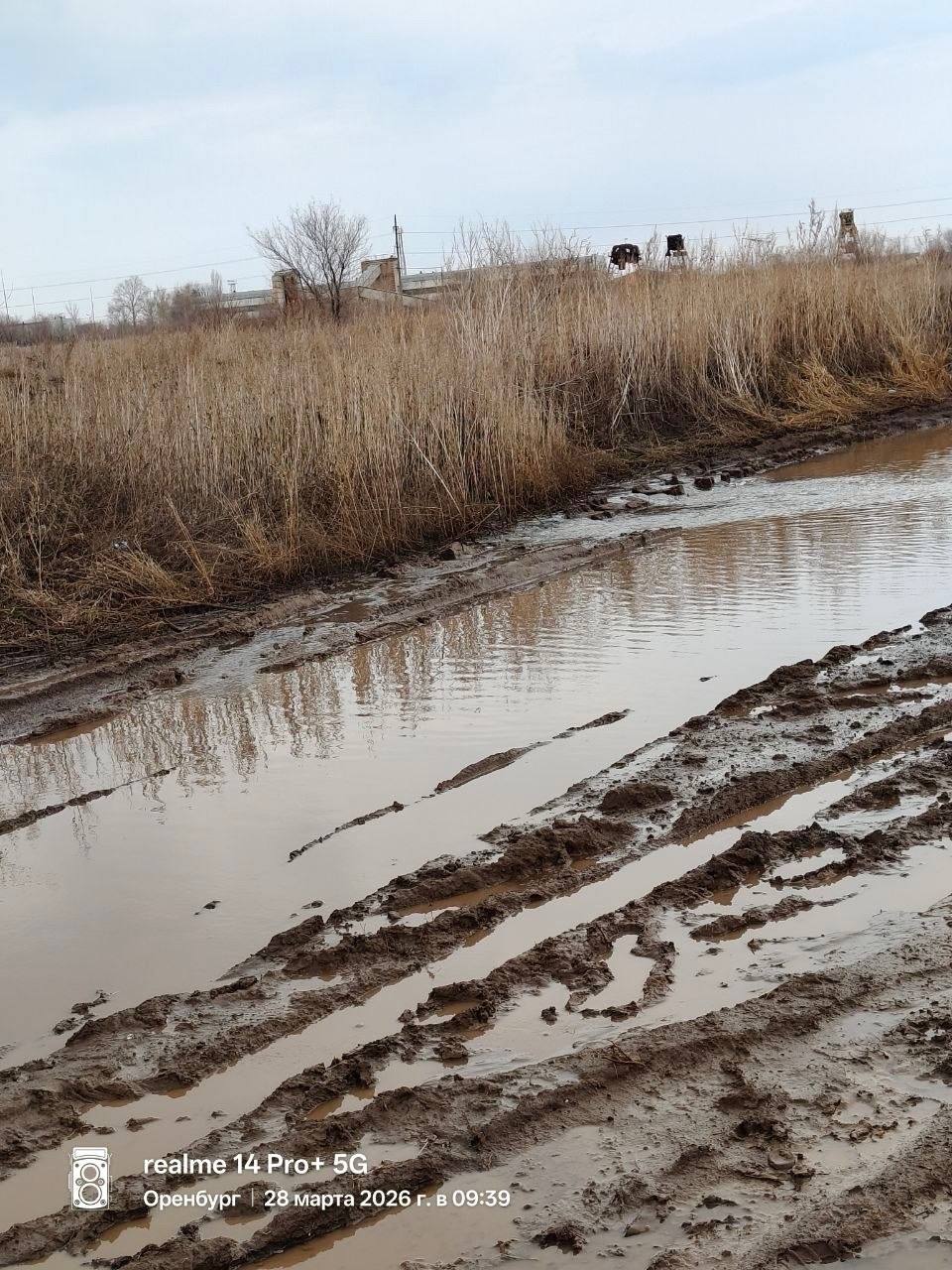 В Оренбурге талые воды со снежного полигона на улице Амурской угрожают подтоплением СНТ «Карачи» В Оренбурге талые воды со снежного полигона на улице Амурской угрожают подтоплением СНТ «Карачи»