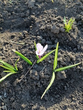 ������ ����! ������� ������ �� 31 �����