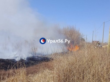 В Орске горит территория СНТ между Зеленхозовской объездной и дамбой Урала