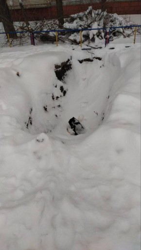 Жители на улице Конституции СССР в Оренбурге почти год ждут ремонта поврежденного тротуара