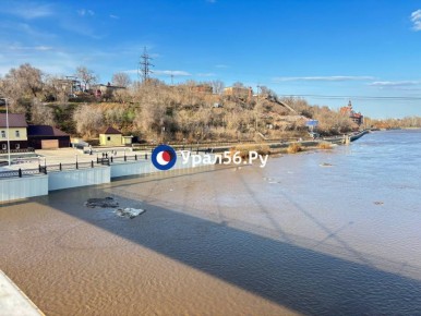 ������� ���� � ����� � ��������� ������