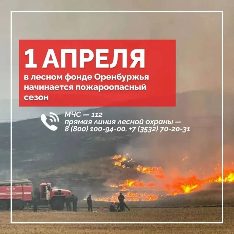 � ���������� ������� ������������� �����