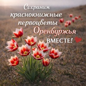 Весна – время, когда степь расцветает и удивляет своей красотой! Но многие первоцветы находятся под угрозой исчезновения и занесены в Красную книгу