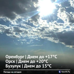 ������ ����