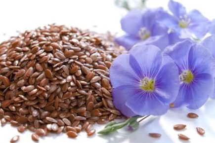 ��� ������������: �������� �������� � ������� ����������